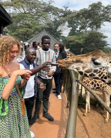 Giraffe Feeding