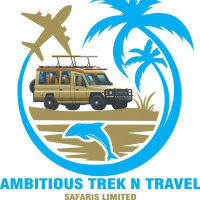   Ambitious Trek N Safaris